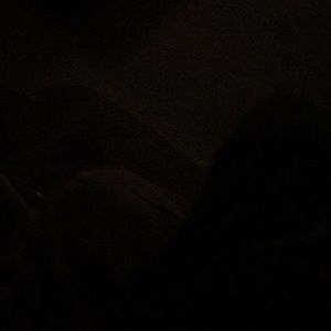 Meet your Posher, Dewayne